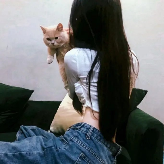 人生战术本